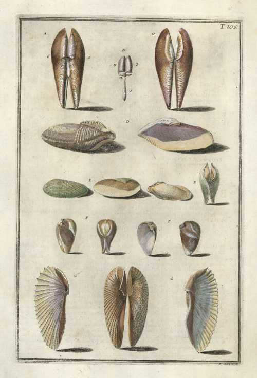 1205_apML.G105