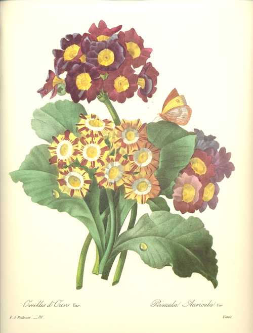 1629_daBotan59