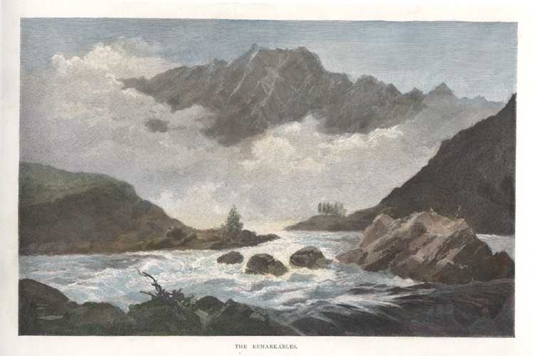 1691_apNz12