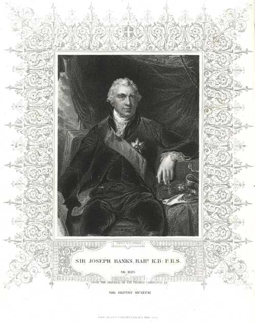 3305_appor.Tallis4