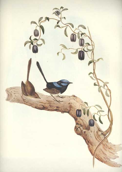 3490_LJG159