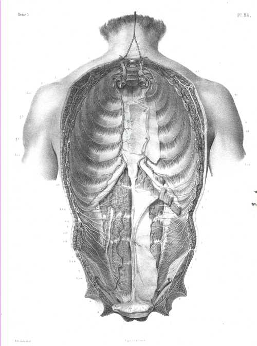 715_apMed3