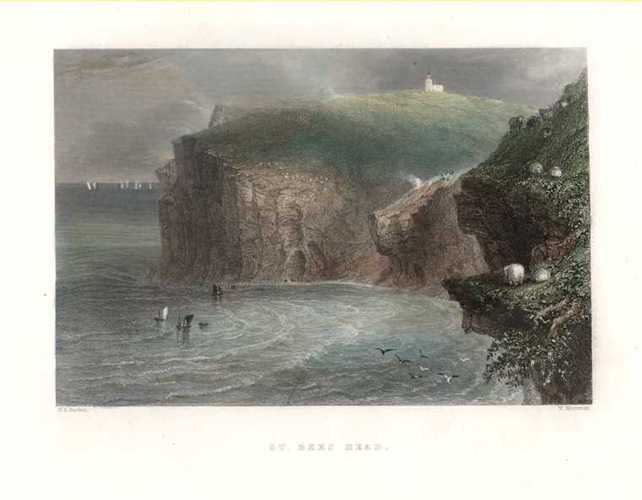 Finden-St-BeesHead