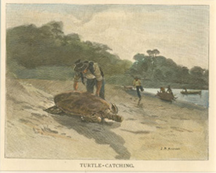 Garran-TurtleCatching-w