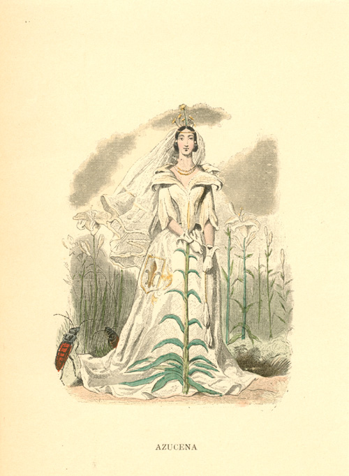 Grandville-LilyQueen-w