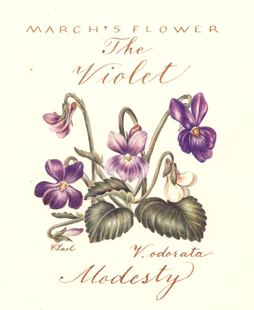 Lael-Violet-March