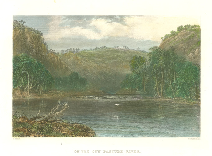 OnCowPastureRiver-NSW