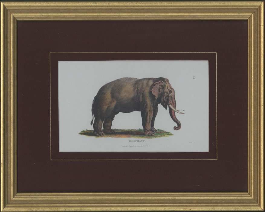 Repro-Shaw-Elephant-wine