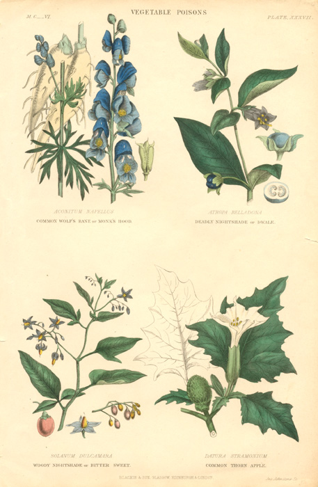 Rhind37Johnstone-Poisons-WolfsBane2cNightshade1855-w