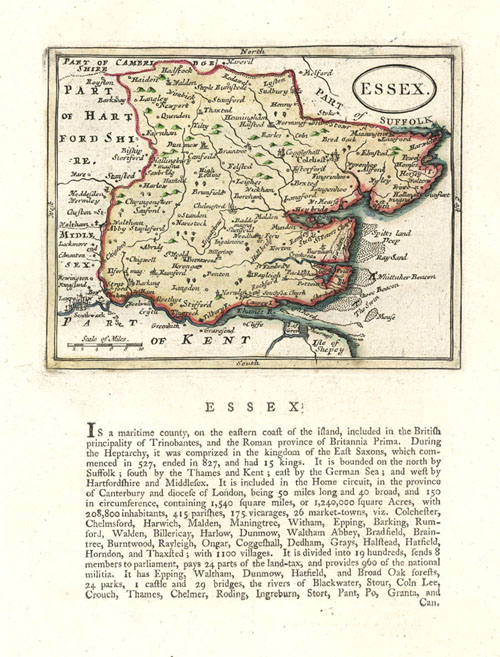 Seller-Essex