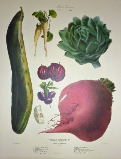 daVilmorin-Vegetables1